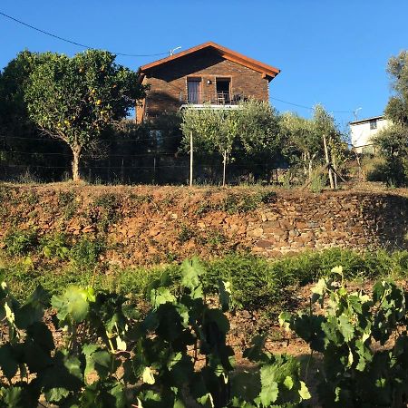 Casa Da Menina Villa Anceriz Dış mekan fotoğraf