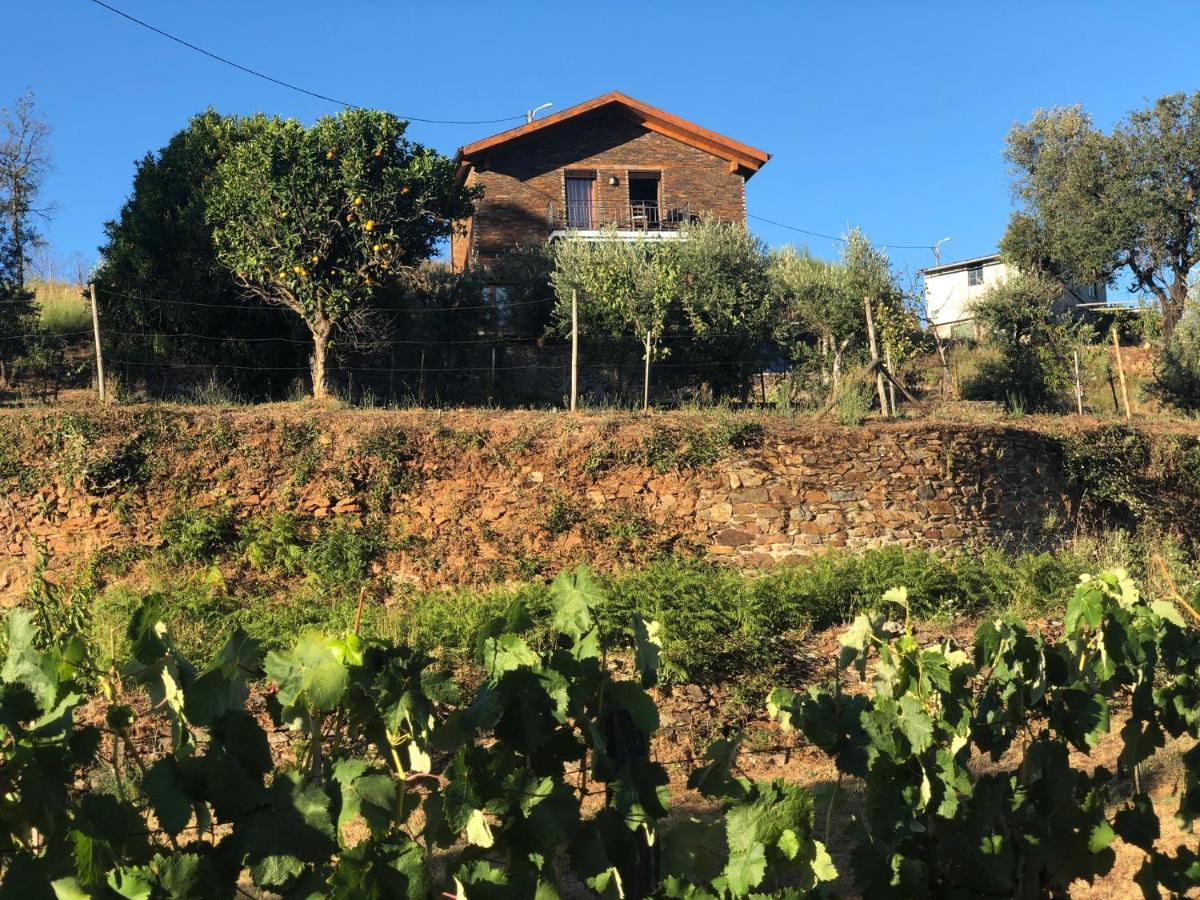 Casa Da Menina Villa Anceriz Dış mekan fotoğraf